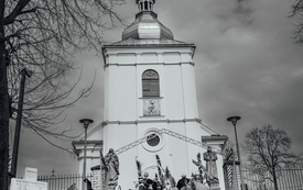 palmy_ 0028