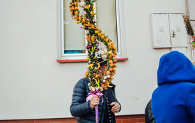 palmy_ 0011