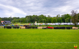foto_ 0013