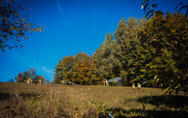 foto_tunel2026_ 0121
