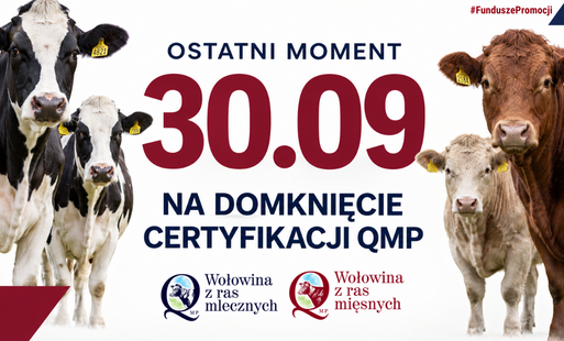 obraz dekoracyjny 