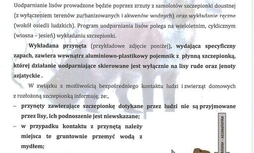 obraz dekoracyjny 