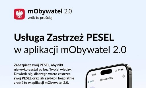 obraz dekoracyjny 