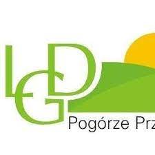 Read more about the article Aktywność społeczna ludzi młodych, ankieta dedykowana osobom w wieku od 16 do 25 r. ż. z obszaru LGD „Pogórze Przemysko – Dynowskie”
