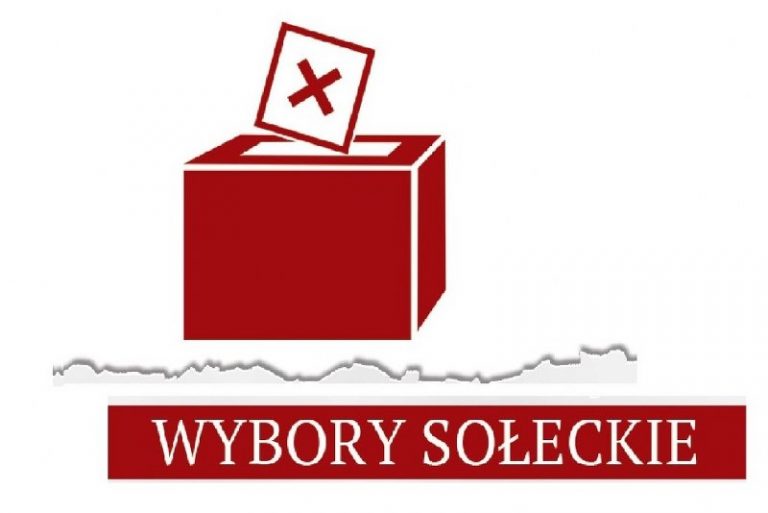 Wybory ramka_800x534